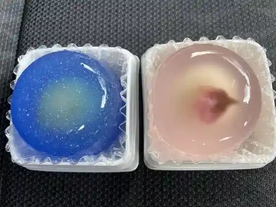 Okashi Tokoro Tsuruya Kashiho