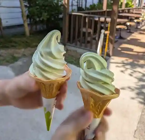 Daio Wasabi Nojo Teikuautokona