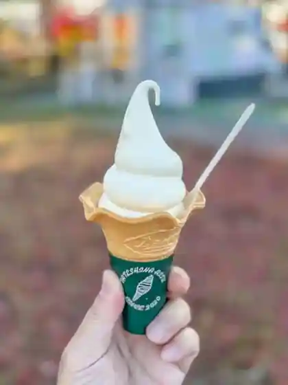 Cafe Tateshina Ice Cream
