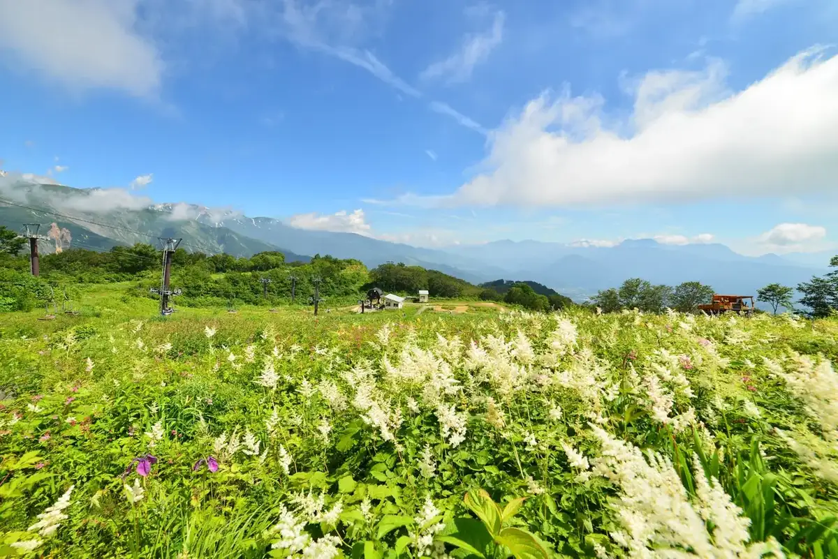 Hakuba Goryu Kozan Botanical Garden
