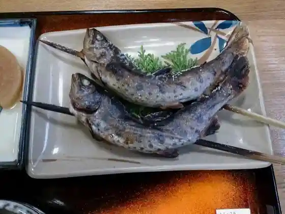 Jurota