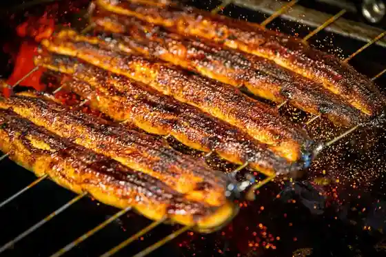 Unagi Ya