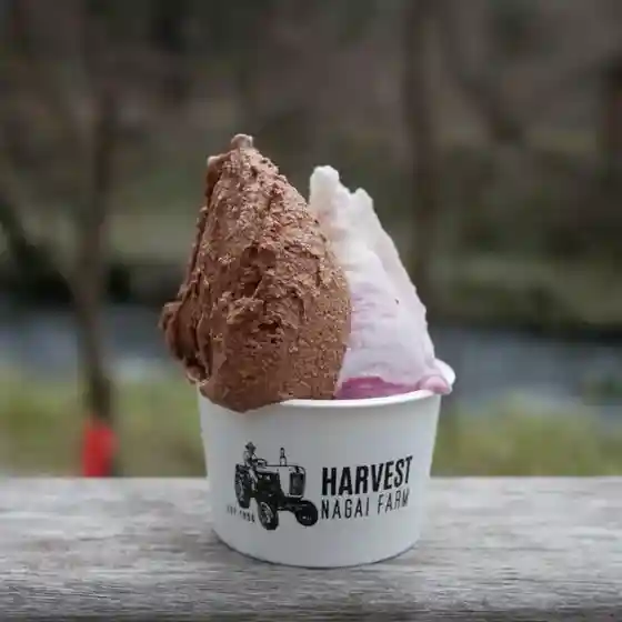 Habesuto Nagai Farm Karuizawa