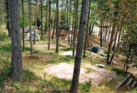 Kodama no Mori Campground