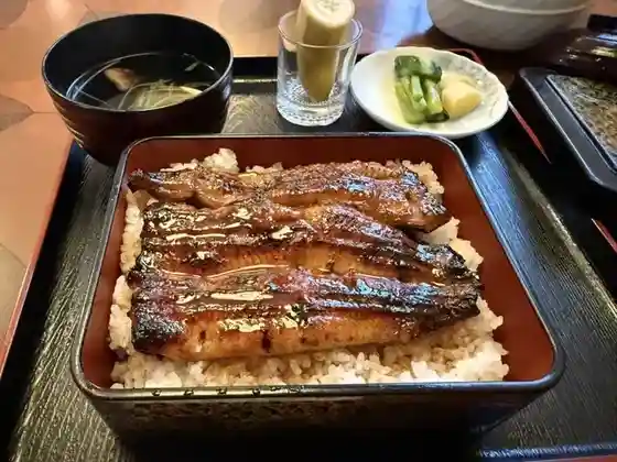Fuji Fune