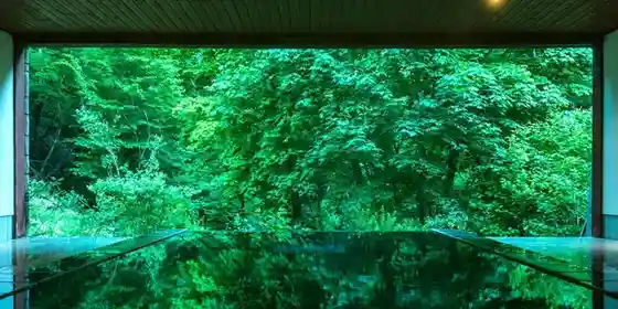 Tobira Onsen Myojin Kan