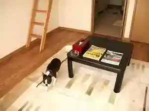 Petto To Toma Reru Puchi Hotel Emi Rumieru