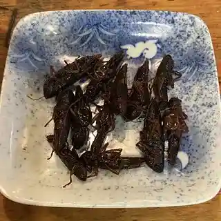 Nonnon