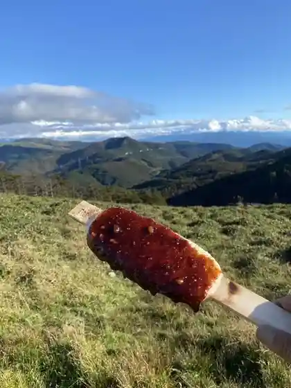Mibu Cha-ya