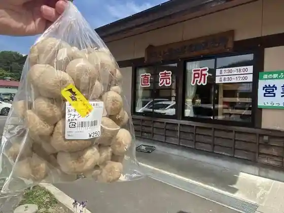 Michi no Eki Furusato Toyoda