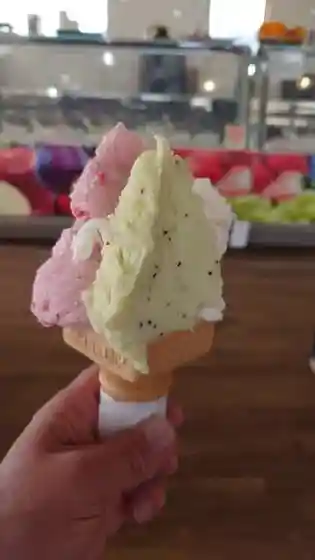 gelateria frutti