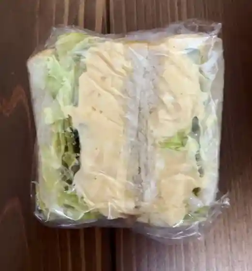 Kametosagi