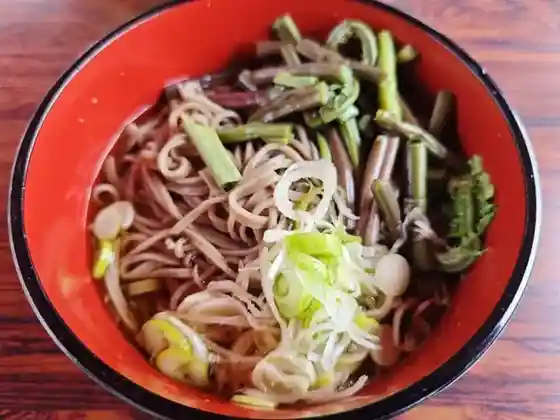 Michi No Eki Shin'Etsu Sakae