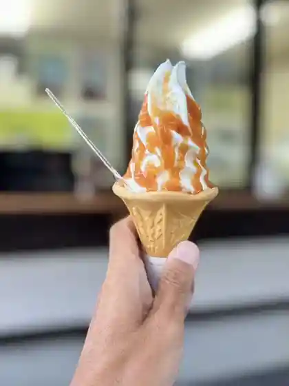 Hokushin Shu Sakaemura Soft Serve Sakae