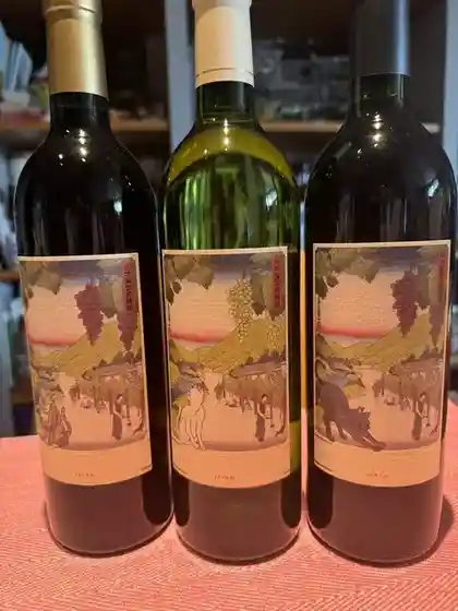 Vino Derra Gatta Sakaki