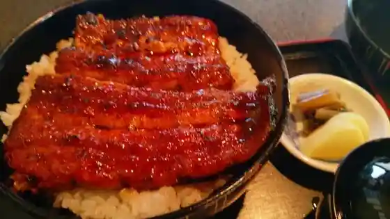 Shimosuwa Unagi Kobayashi
