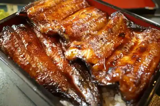 Unagi Hayashiya