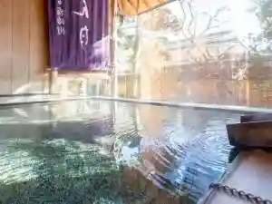 Shinshu Shimosuwa Onsen Gin Gatsu