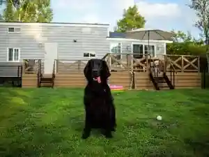 ENREI DOG VILLA ATTRAIT (Atore)