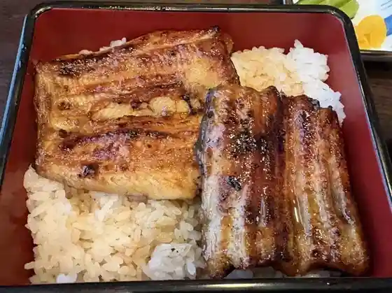 Una Fuji
