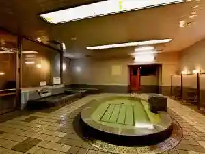 Kamisuwa Onsen Neo Station Hotel Kamisuwa