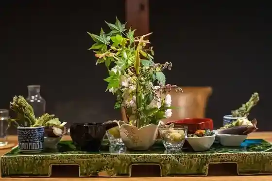 Kusa Jo Iori