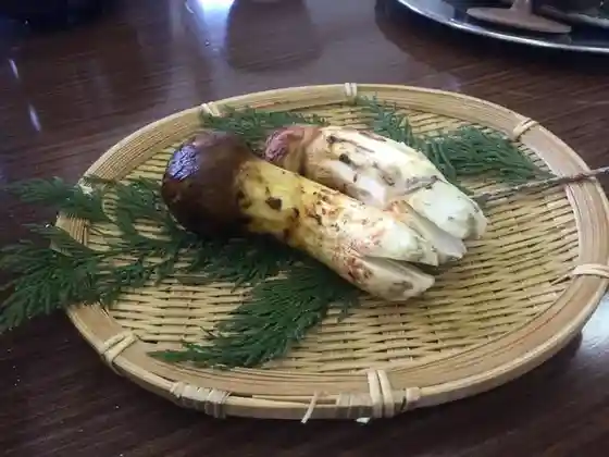 Horikoshi Matsutake Kanko