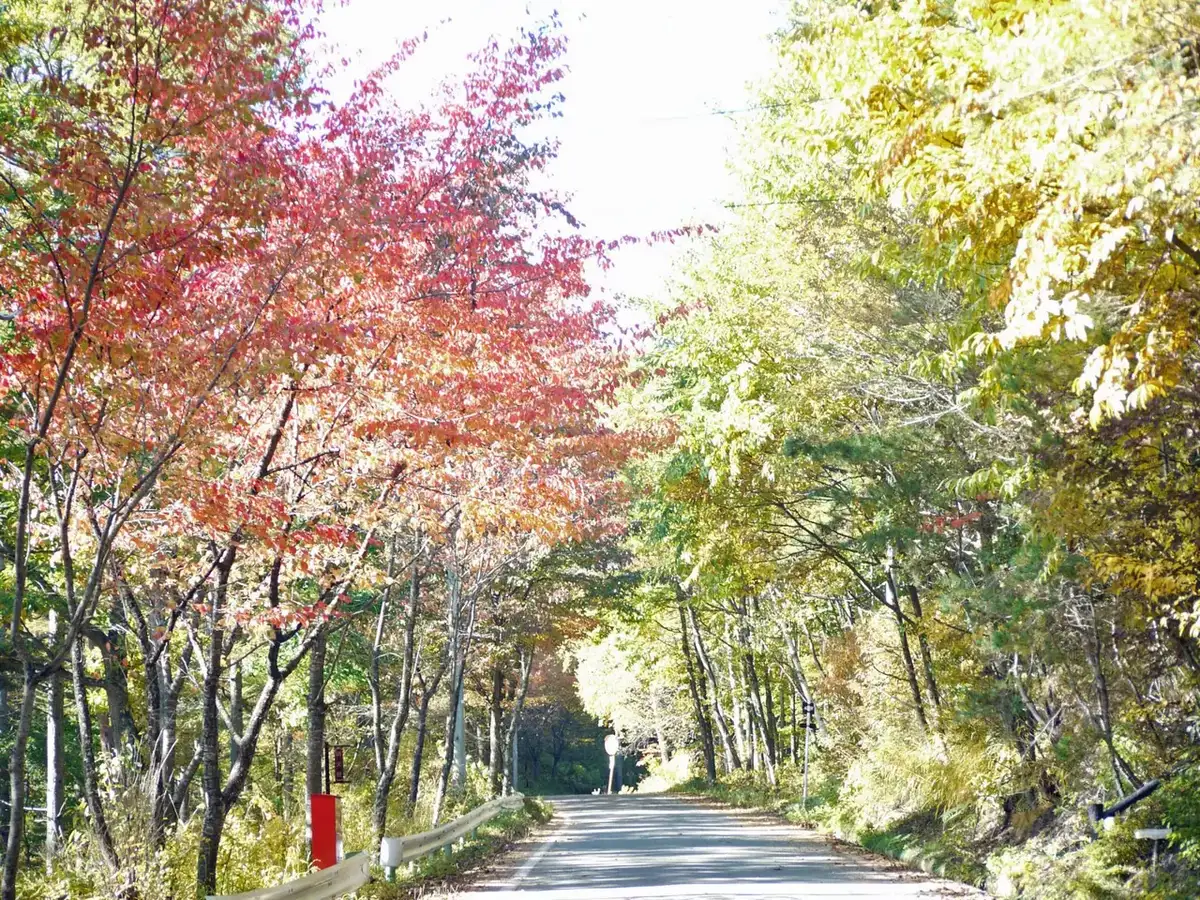 Shimizu Highlands