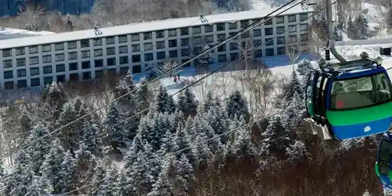 Shigakogen Purinsu Hotel