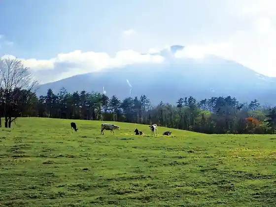 Gunma Prefectural Asama Livestock Breeding Ranch