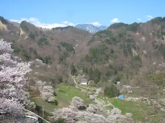 Riku Sato Yamazakura (Torekkingu Sansaku)