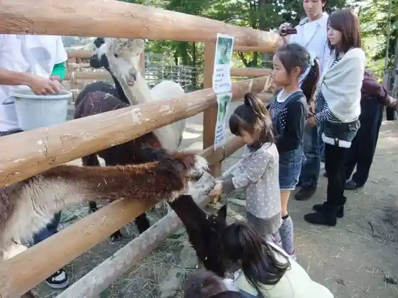 Yamakoshi Arupaka Ranch