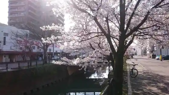 Kaki Kawa