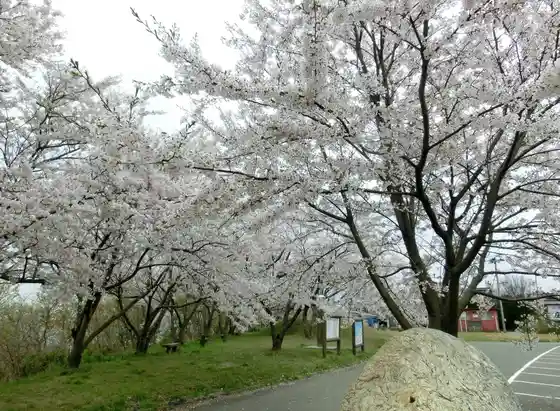 Nozumi River Park