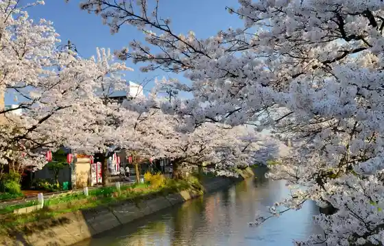 Fukushima Ko Soi