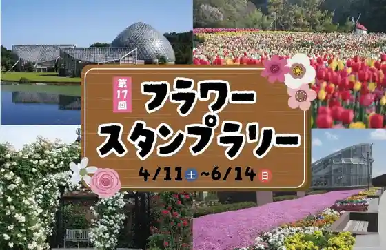 (Dai 17 Kai Furawasutanpurarii)