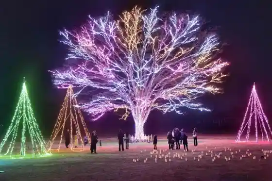 Kokuei Echigo Kyuryo Park (Xmas Irumineshon)
