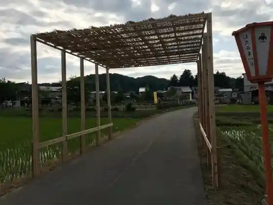 Koshiji Hotaru Festival