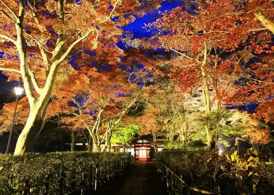 Koshiji Momiji Festival