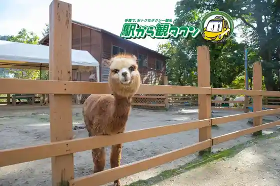 Nippon no Hara Fukei (Yamakoshi) Wo Mankitsu !