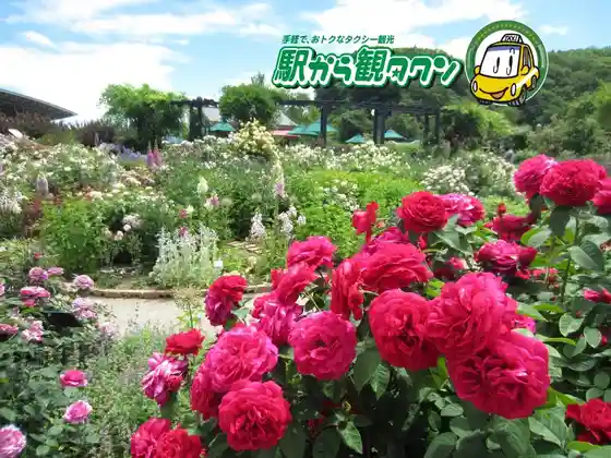 Nagaoka no Nature Ya Rekishi Nifure, Ninki no (Eguchi Dango) De Gurume Wo Tanno !