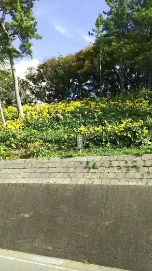 Teradomari Tsuwabuki Matsuri