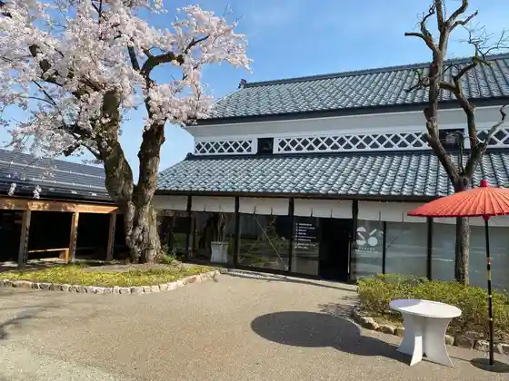 Kyu Kina Safuran Sake Seizo Honpo Komegura