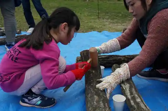 Kokuei Echigo Kyuryo Park (Shiitake Nameko no Hoda Ki Zukuri)