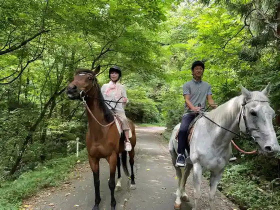 Sarabureddo Ni Nore Ru ! Yamamichi De Joba Experience