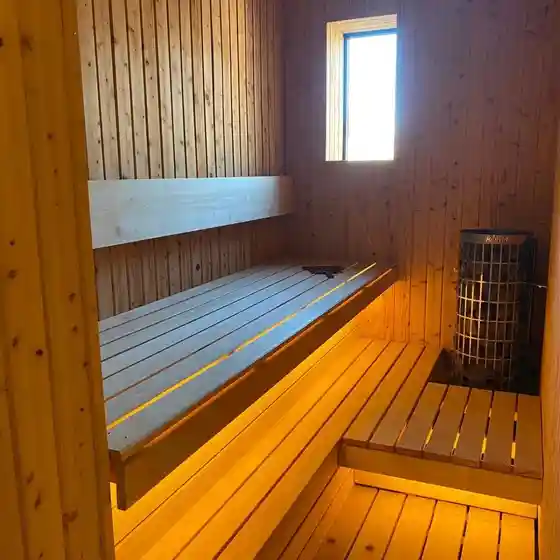 Puraibetosauna ART