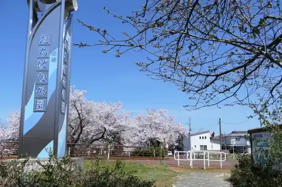 Yoita Kasen Ryokuchi Tachibana Park