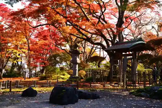 Momiji Sono
