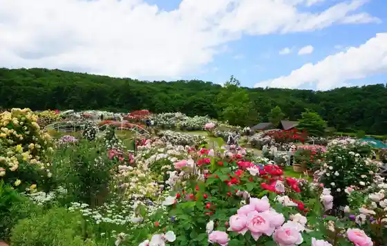Kokuei Echigo Kyuryo Park