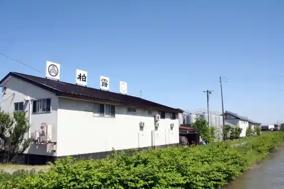 Kashiwa Tsuyu Shuzo (Kabu)